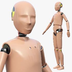 Teenager Crash Test Dummy Rigged 3D